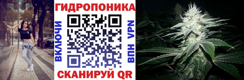 ОМГ ОМГ зеркало  где купить наркоту  Шадринск  дарк нет наркотические препараты  Марихуана тримм 